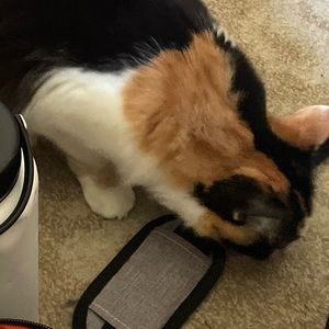 Meet your Posher, Anne chantale